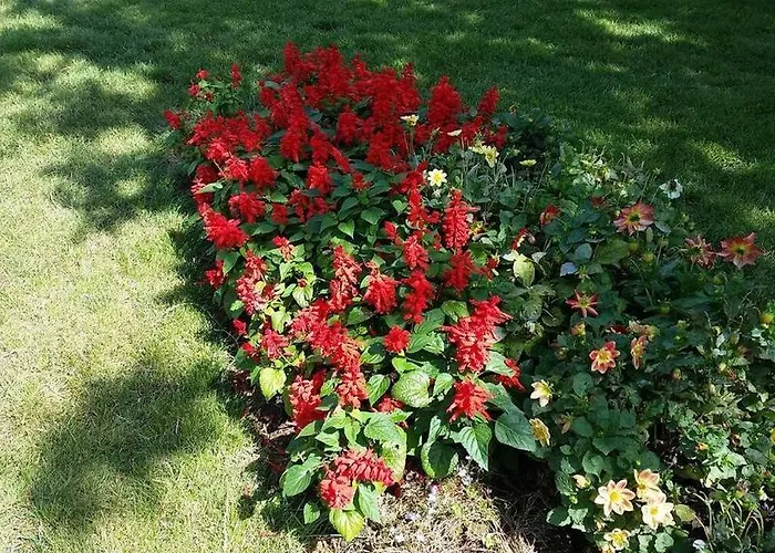 Olymp Apartcomplex 4* Sveti Vlas